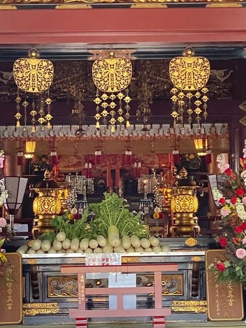 🏯 마츠치야마 혼류인 (마츠치야마 쇼덴) 이미지 7